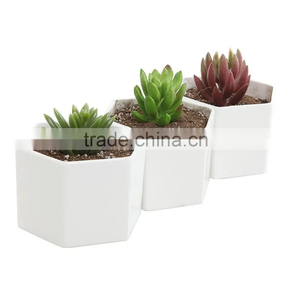 Hexagon White Ceramic Plant Pots Succulent Planters photo-2