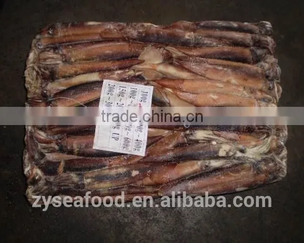 Hot Selling Frozen Argentina Squid photo-3