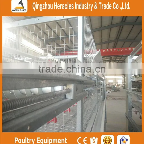 China Factory Price Trade Assurance Chicken Poultry Farm Equipment Layer Cage photo-3