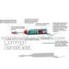 OH2GO All in One Oral Care Travel Toothbrush