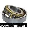 Cylinderical Roller Bearing
