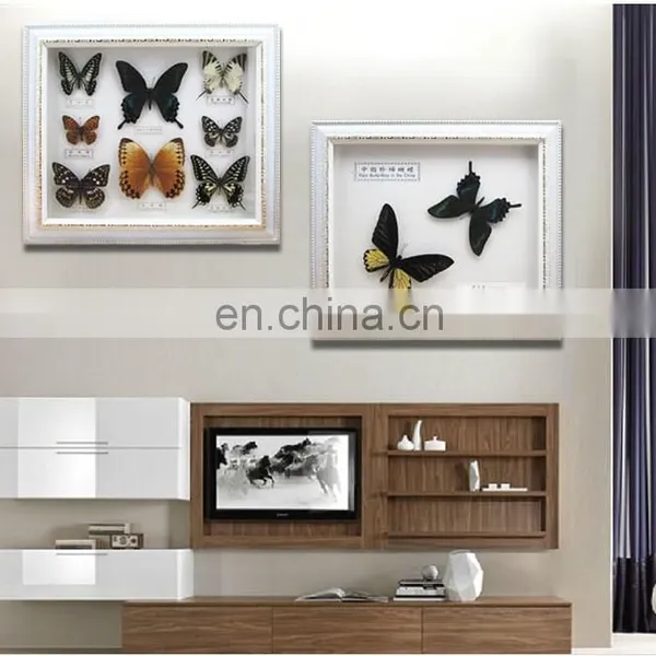 Real Butterfly Mounted in Frames - Decoration & Gifts photo-2