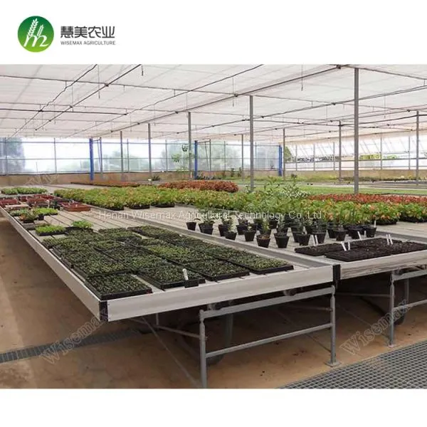 High Quality Ebb and Flow Rolling Plastic Trays Hydroponic Flood Seedbed photo-5