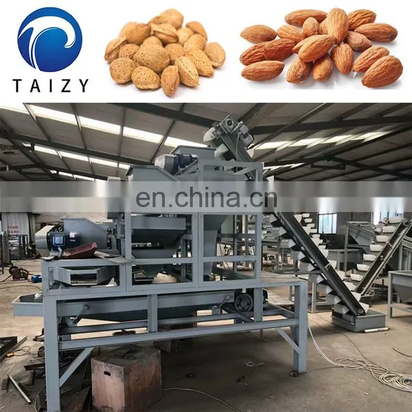 Whosale Price Almond Sheller Machine for Sale photo-3