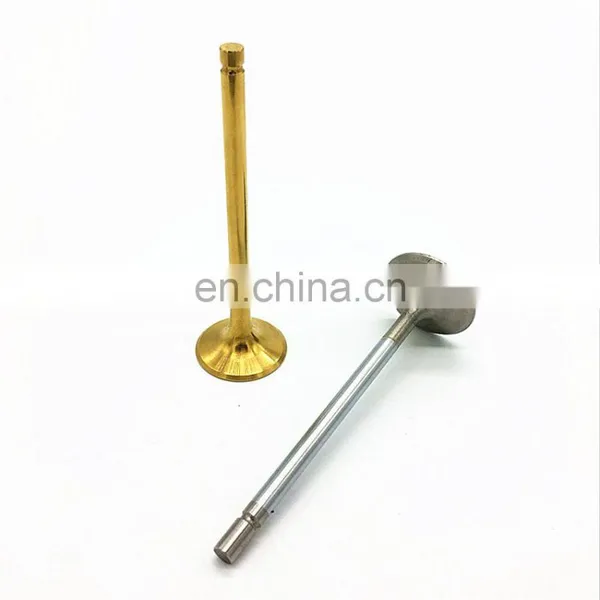Universal Auto Parts Intake Exhaust Engine Valve For LS1 LS2 LS3 Holden Commodore VT VX VY VZ VE photo-5