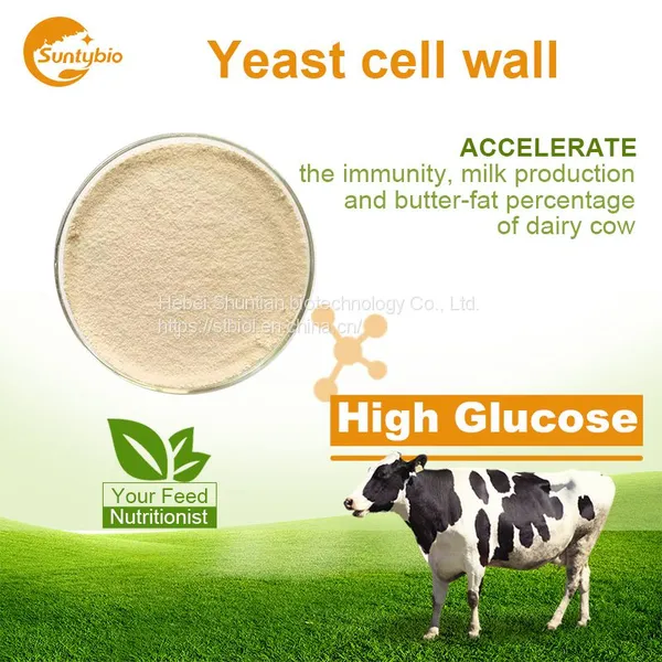Yeast Cell Wall photo-4