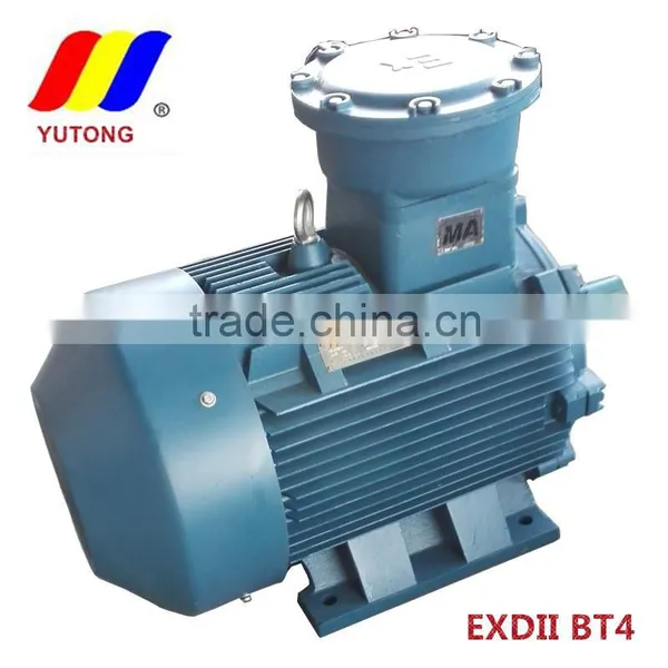 YB3 Series Explosion-proof Three Phase Induction Motor photo-3