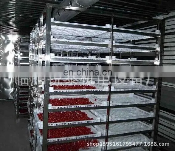 Factory Solar Cabinet Dryer Equipment Drying Oven Industrial Dehydrator Machine photo-4