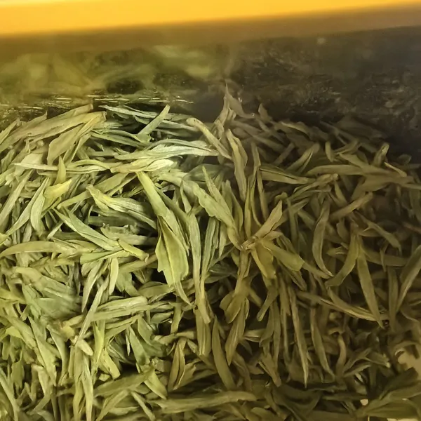 Sales of High-quality Chinese Spring White Tea photo-2