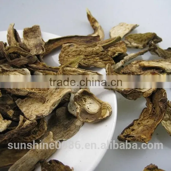 Dried Mushroom photo-2