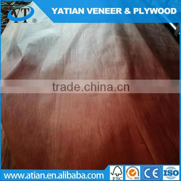 Rotary Cut 0.22-0.3mm Door Size Water Gum Veneer photo-3