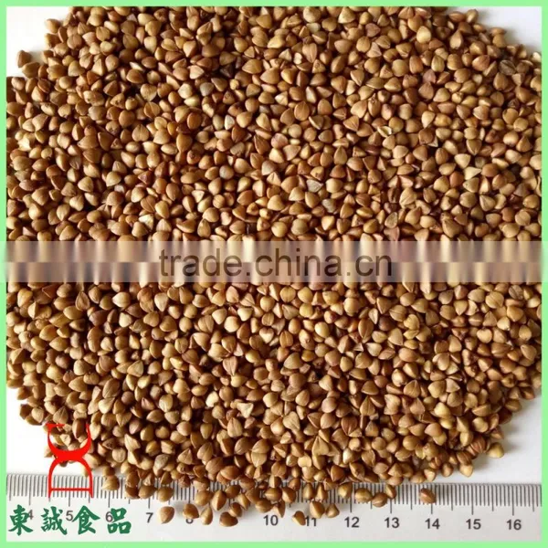 Best Price Wholesale Food Roasted Buckwheat Seed