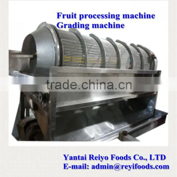Cherry Grading Machine / Cherry/tomato Grading Machine photo-5