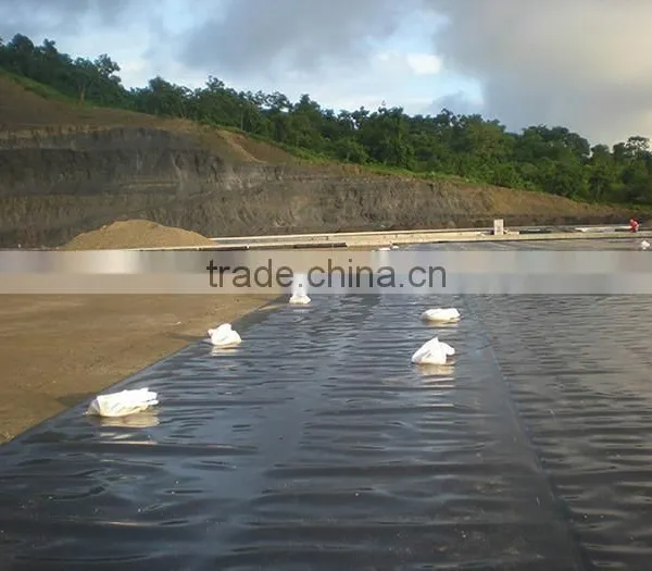 Good Sale Cheap Hdpe Sewage Geomembrane for Waterproof photo-3