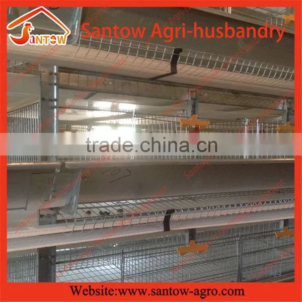 Stable Steel Structure Professional Chicken Egg Layer Cage Turnkey Project for Poultry Farm Design Supplier's Choice