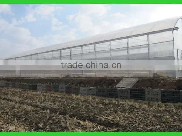 Export to Japan Agriclutural Polycarbonate Greenhouse photo-3