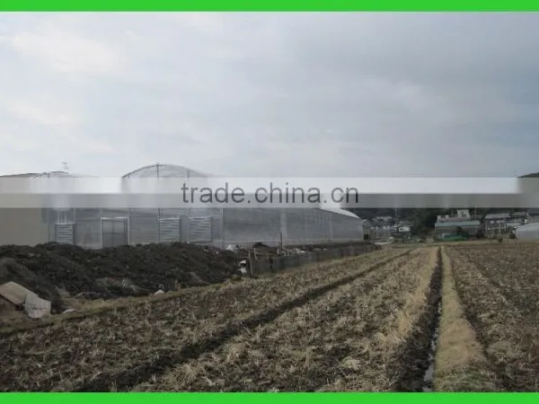 Export to Japan Agriclutural Polycarbonate Greenhouse photo-4