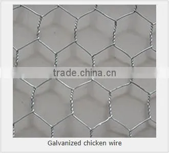 Supply Chicks Netting, Hexagonal Wire Netting (electro Galvanized, Hot Dipped Galvanized/ Hot-dipped Galvanized) photo-5