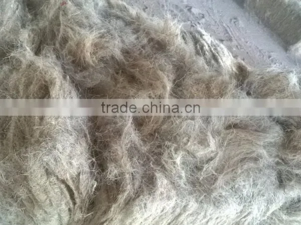 Coconut Fiber High Quality _ QQ : 2290755420 photo-2