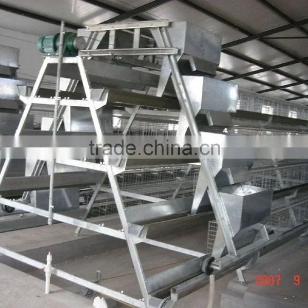 Automatic Chicken Layer Cage for Salling!!! photo-3