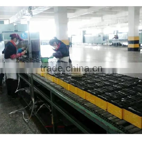 12V 20AH Electric Power Accumulator 6 Dzm 20 Batteria for E-scooter photo-6
