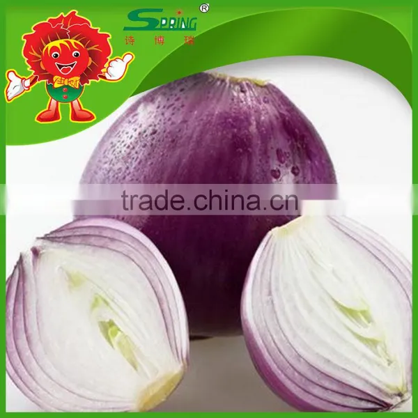 Best Quality Onions in Bulk for Mcdonalds Dehydrated Onions photo-6