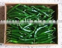 Egypt Hot Green Pepper