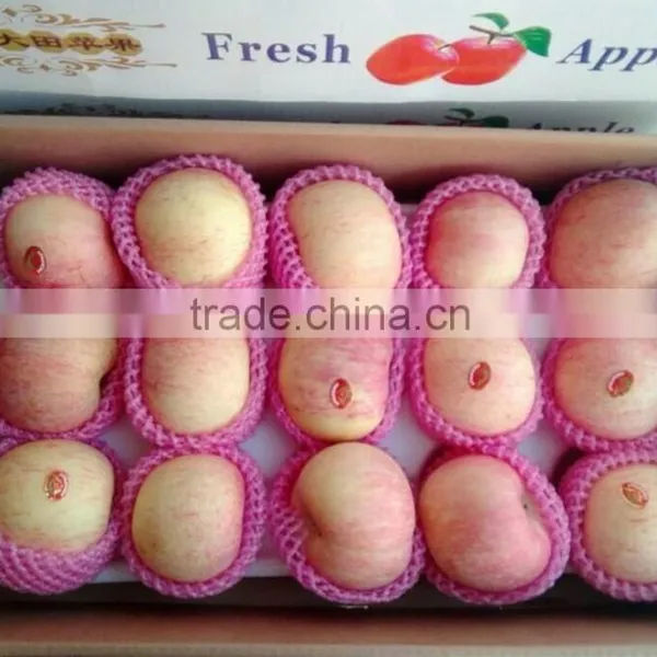 Chinese Good Quanlity Delicious Fresh Appl photo-4