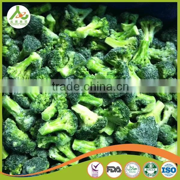 2016 New Crop Chinese Fresh Broccoli photo-6