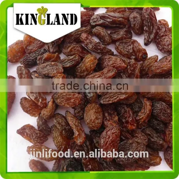 High Quality AAA Sultana Raisin Mix Color photo-5