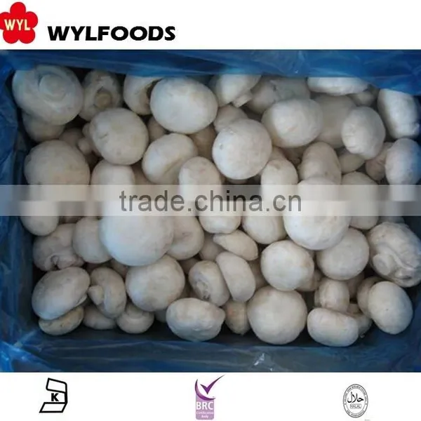 IQF China Price for Frozen Champignons Whole 2015 High Quality photo-2