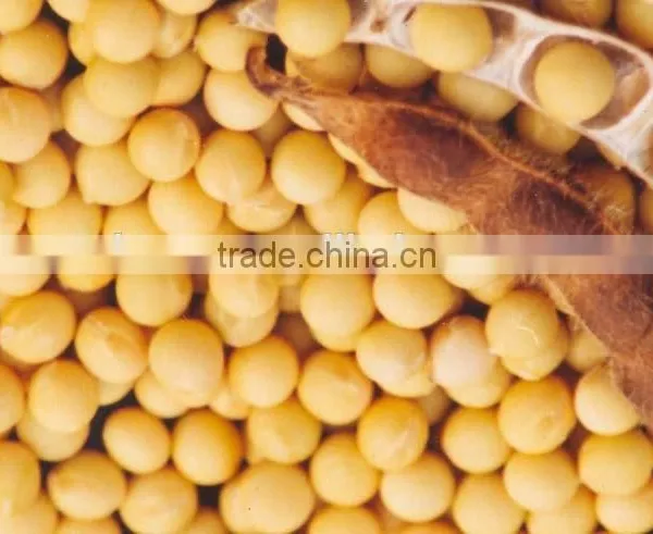 High Quality 98% Soya Lecithin / Soybean Phosphatidylcholine(PC) photo-2