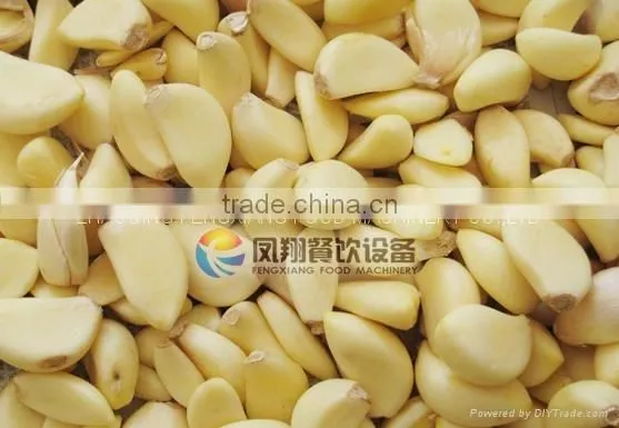 FX-128S Automatical Type Garlic / Shallot Peeler (Approved With CE) photo-4