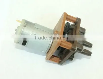 (Pump-03) Battery Fence Painting Sprayer 12V Gear Pump photo-2