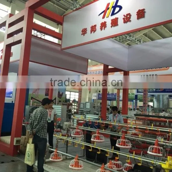 Huabang Poultry Chicken Equipment,automatic Chicken | Broiler Feeder photo-3