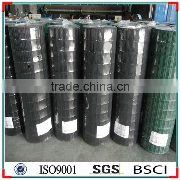 ELECTRO GALVANIZED WELDED MESH 50x50 photo-3