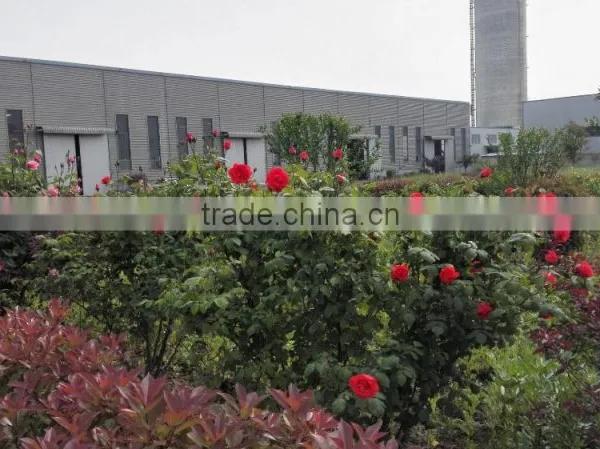 Pyrolysis Oil Distillation Plant 10 Ton Capacity Getting Diesel Oil photo-6