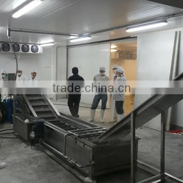 Automatic Frozen Fishball/Chicken Nuggets/Dumpling(Colonels Crispy Strips, Mcnugget, Chick Strip) Processing Line photo-4