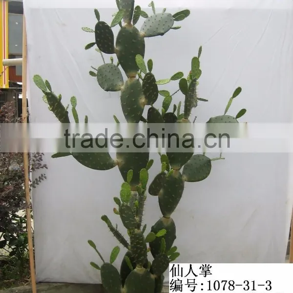 Indoor Fake Artificial Cactus Bonsai photo-5