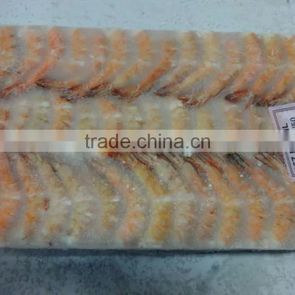 HLSO Shrimps photo-2