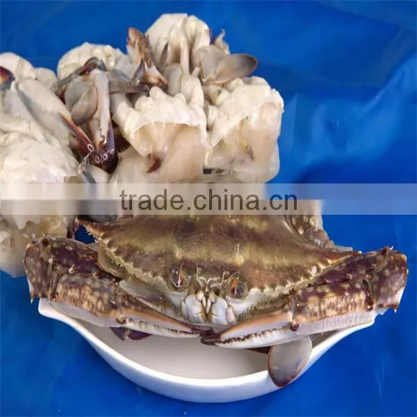 Frozen Mud Crab