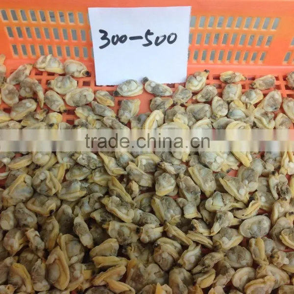 Selected Quality Frozen Short Necked Clam Meat photo-5