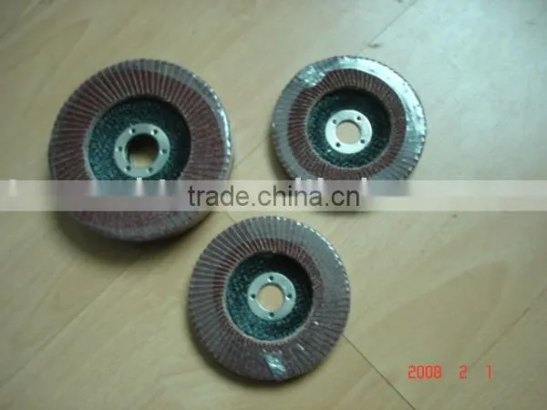 Flap Discs
