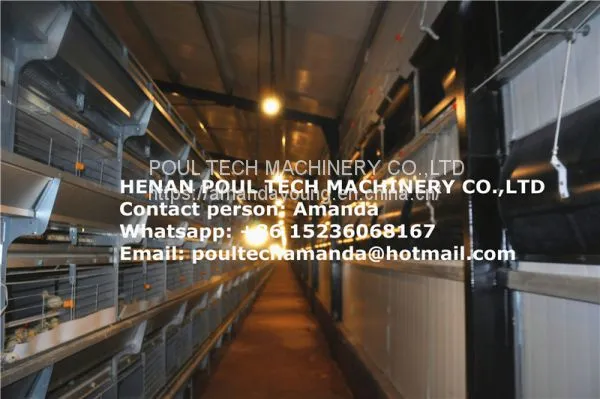 Zimbabwe Poultry Farm Small Chicks Cage & Day Old Chicken Cage With Automatic Feeding Machine Used in Chicken Shed photo-2