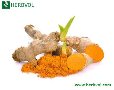 Turmeric Extract