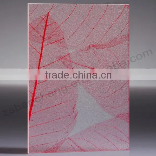 New Product Cheap Good Price Translucent Materials Petg Partition photo-2