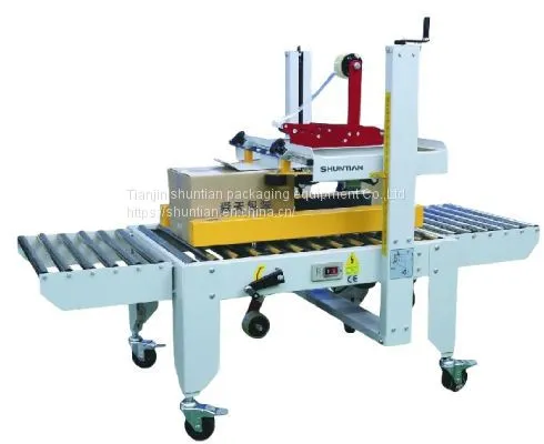 China Robotic Case Packer
