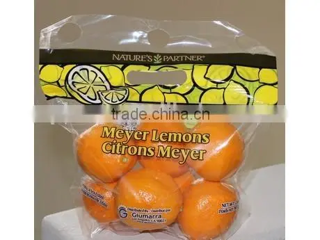 Clear LDPE Chinese Plastic Freezer Bag for Fruit Package With Holes photo-2