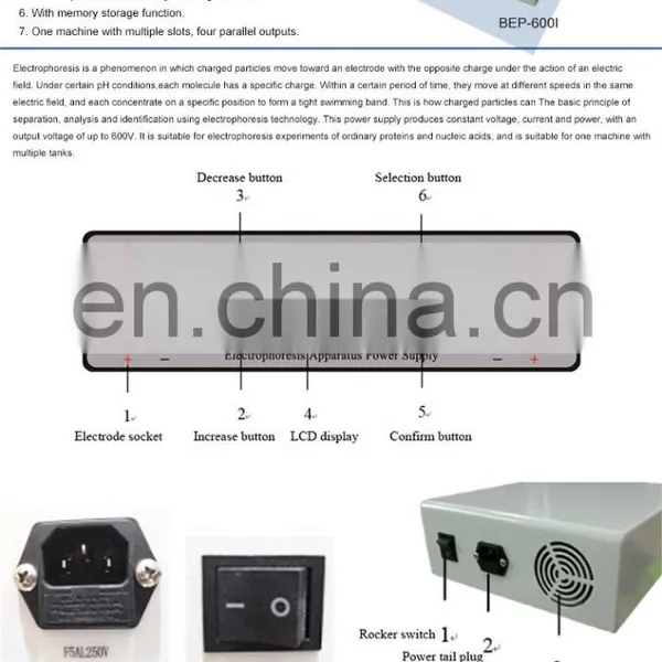 Biobase Electrophoresis Analyzer BEP-600I for PCR Laboratory Use Gel Electrophoresis Tank for Laboratory or Hospital photo-3
