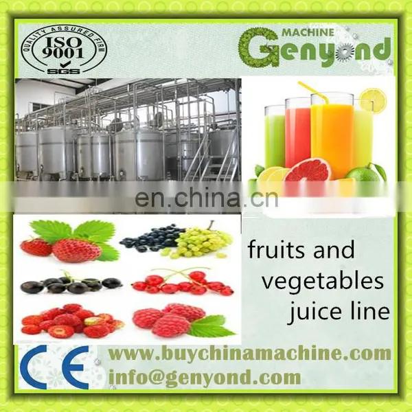 Passion Fruit Juice Machine/natural Fruit Juice Production Line photo-5